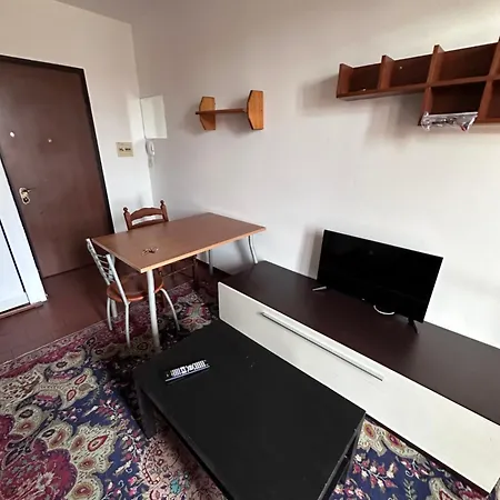 Rose 9 Palace Apartment Brescia